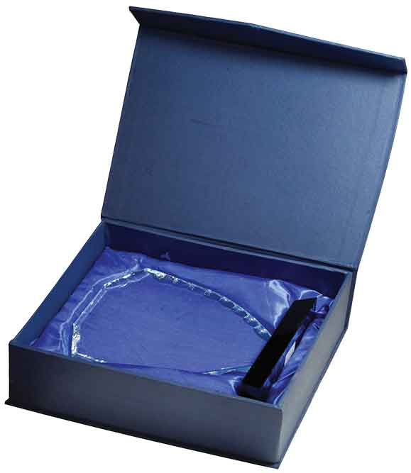 Shield Facet Glass Awards on Black Base