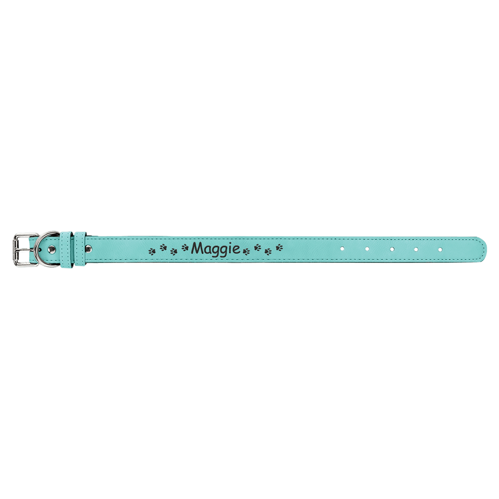 Pet Collars