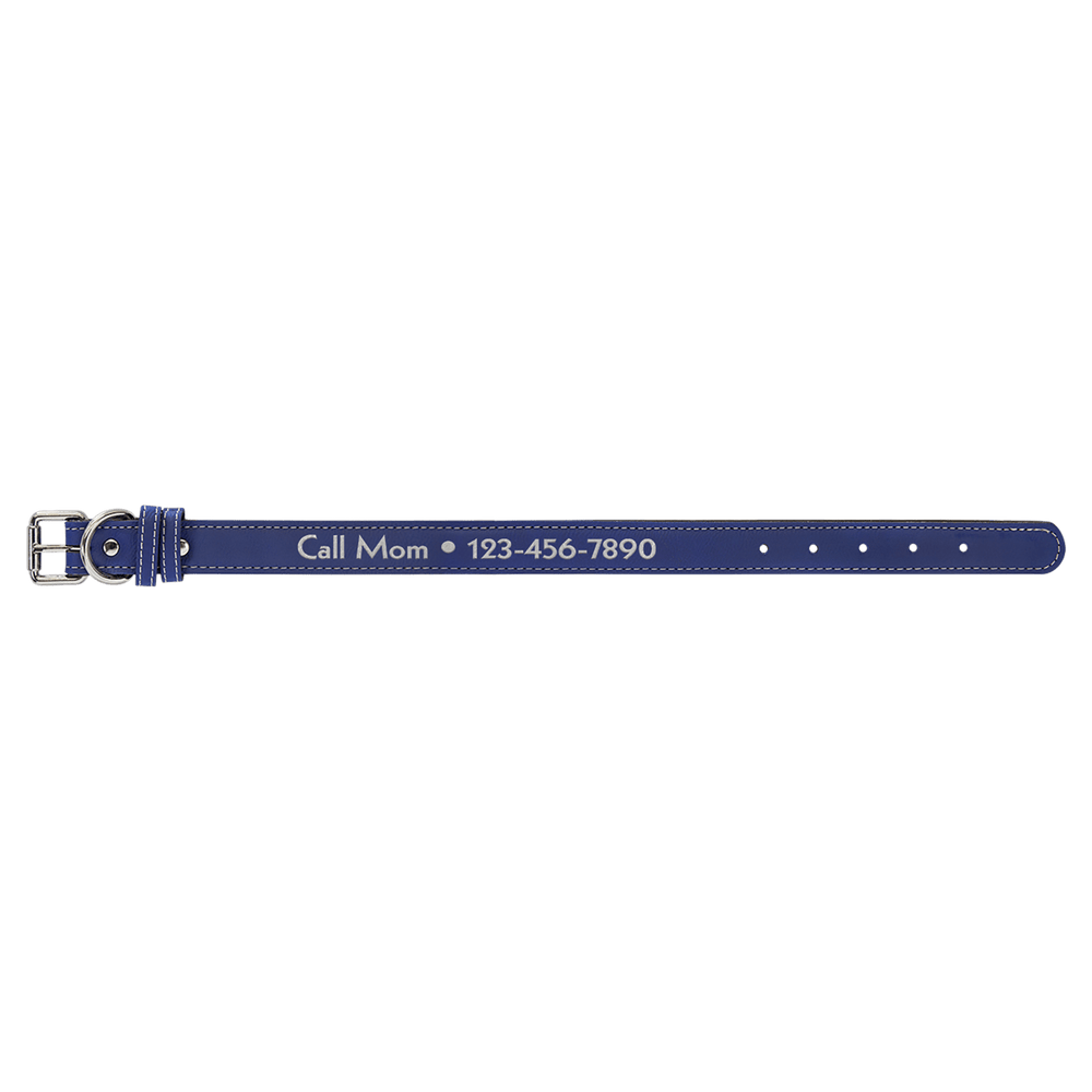 Pet Collars