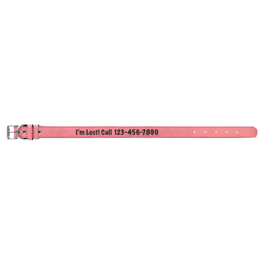 Pet Collars