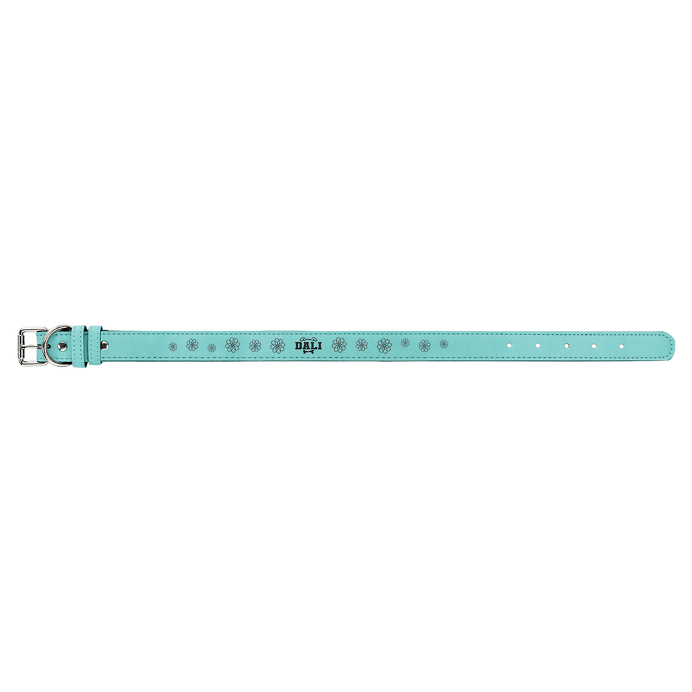 Pet Collars