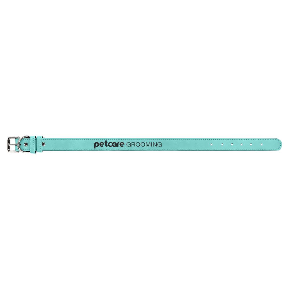 Pet Collars