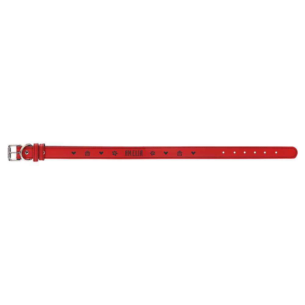 Pet Collars