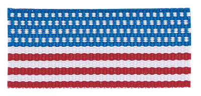 Colored Neck Ribbon with Snap Clip