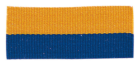 Colored Neck Ribbon with Snap Clip