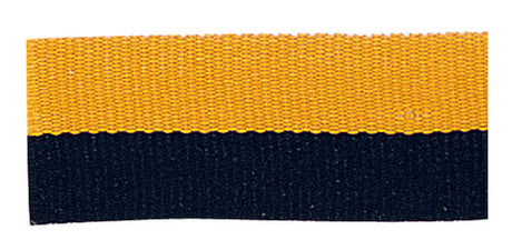 Colored Neck Ribbon with Snap Clip