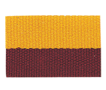 Colored Neck Ribbon with Snap Clip