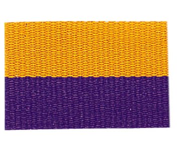 Colored Neck Ribbon with Snap Clip