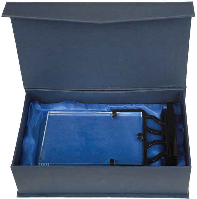 Vertical Rectangle Vintage Glass Awards with Iron Base