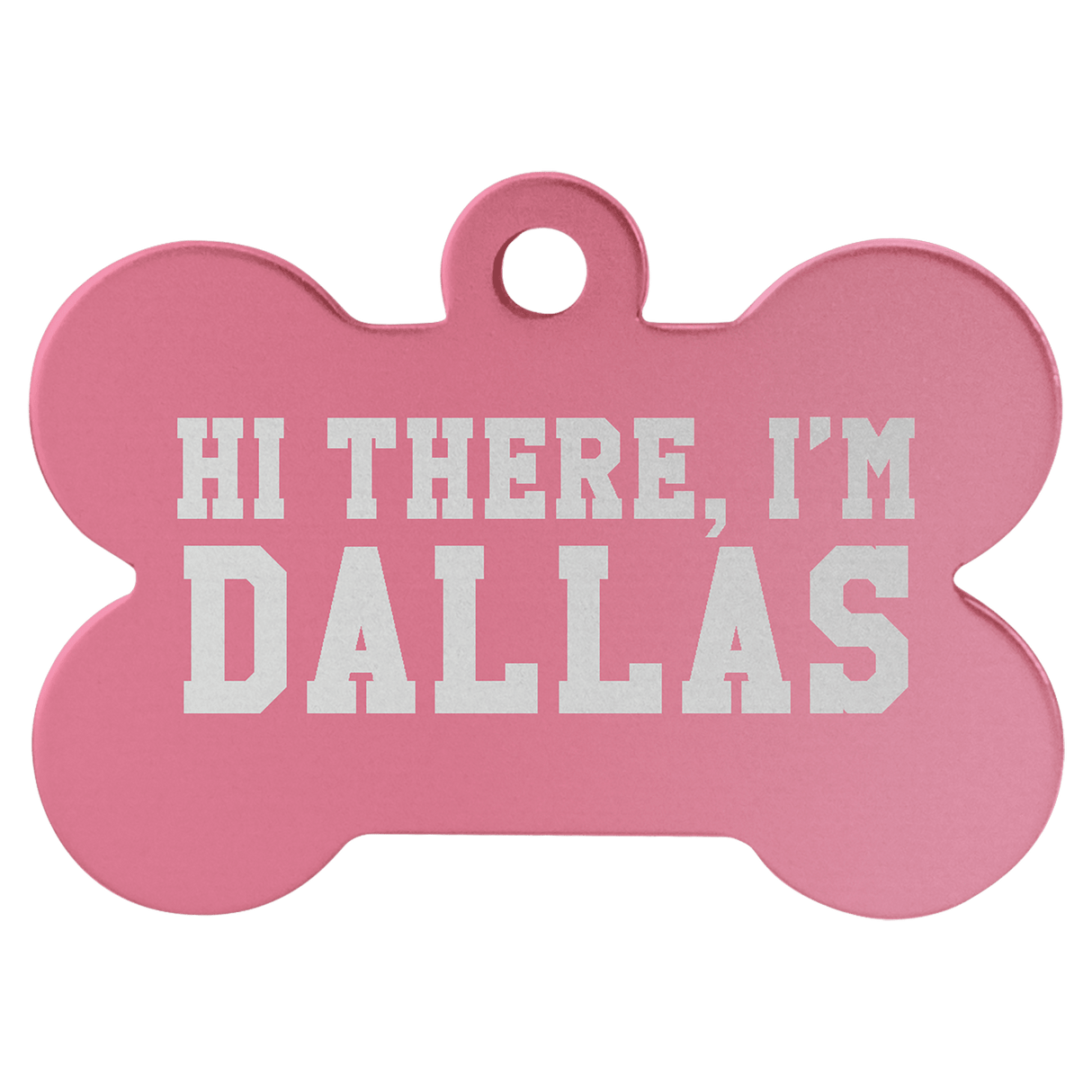 Dog Bone Pet Tags